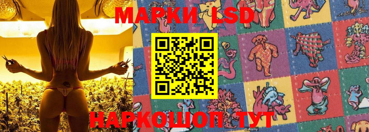 Марки NBOMe 1,5мг Волгоград